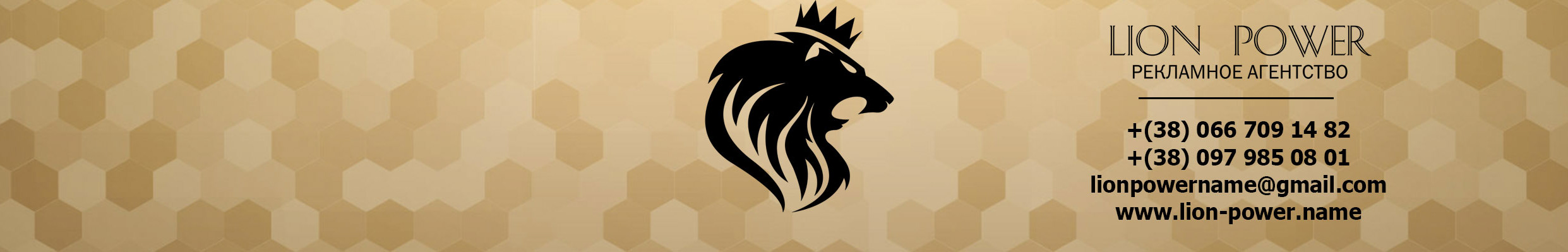 Lion Power's profile banner