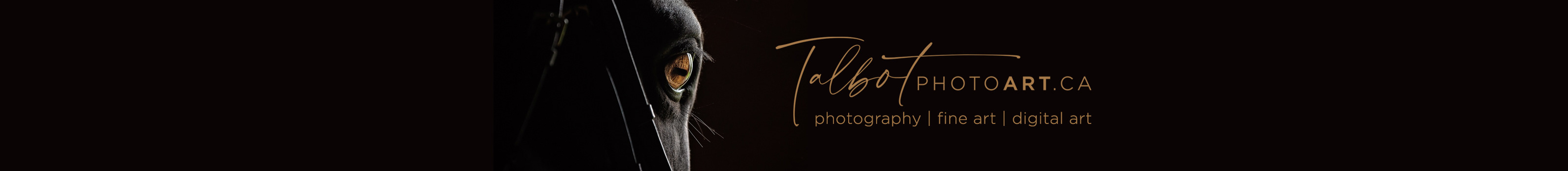 Josee Talbot's profile banner