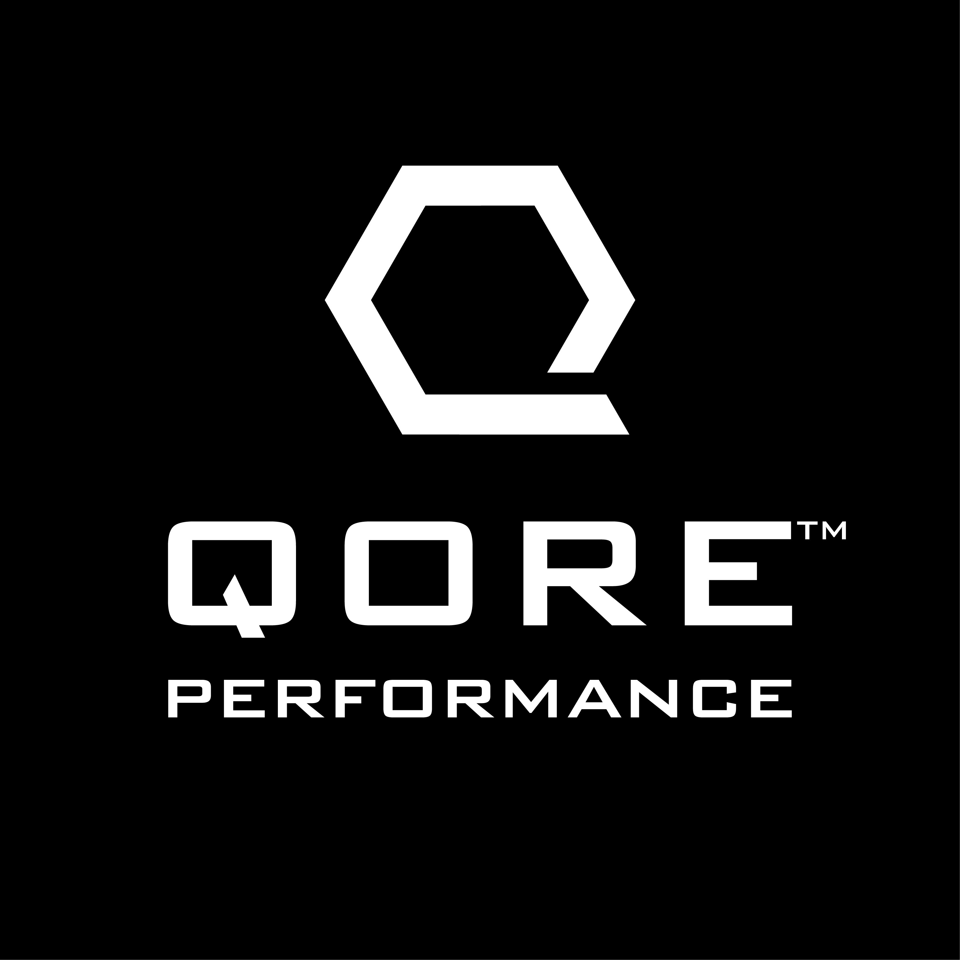 Logo of Qore Performance, Inc.