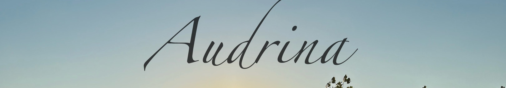Audrina Gross's profile banner