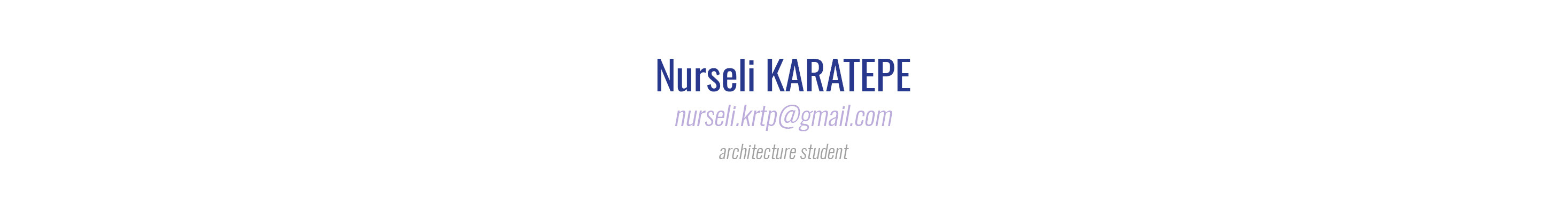Nurseli KARATEPE's profile banner
