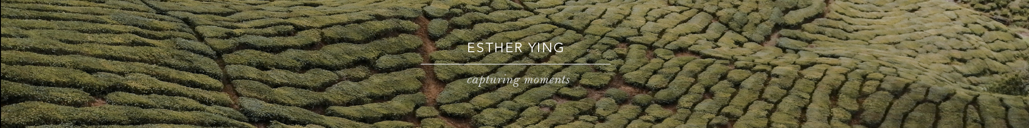 Esther Ying's profile banner