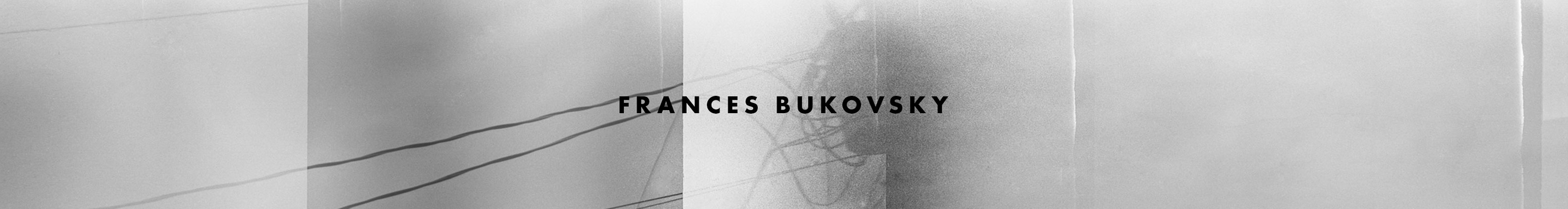 Frances Bukovsky's profile banner