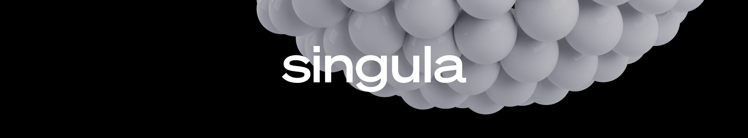 Singula Team's profile banner