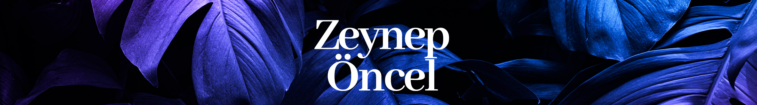 Banner profilu uživatele Zeynep Öncel