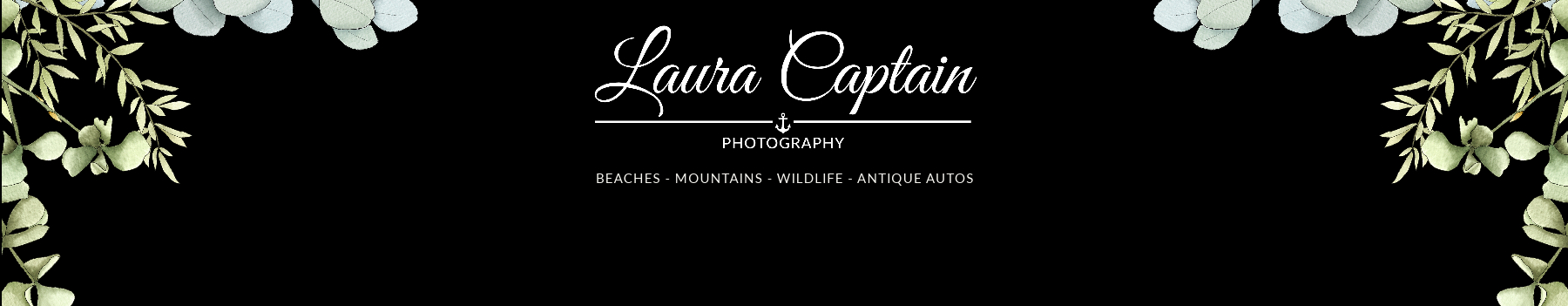 Laura Captain's profile banner