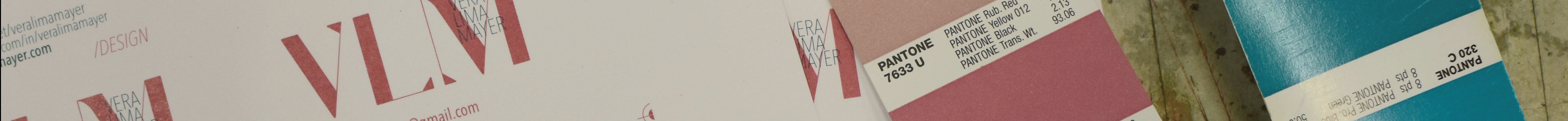 Vera Lima Mayer's profile banner