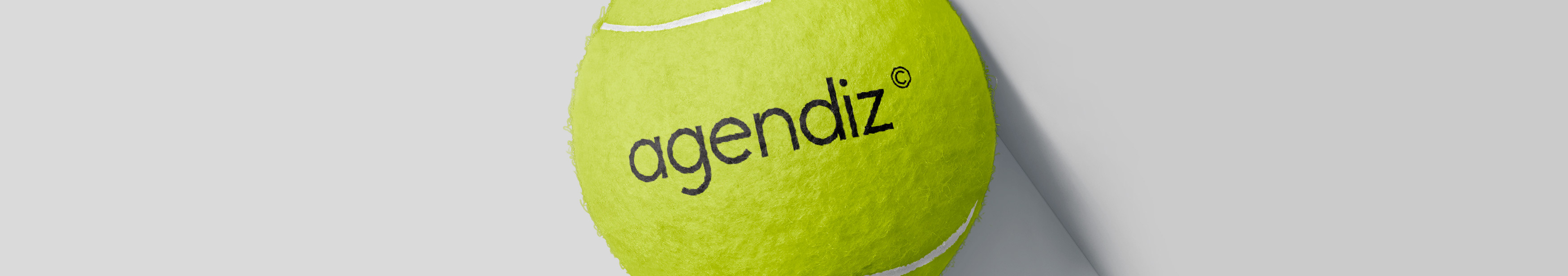 Agendiz Indonesia's profile banner