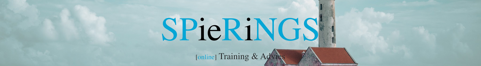 SPRNGS - Training & Advies Portfolio's profile banner