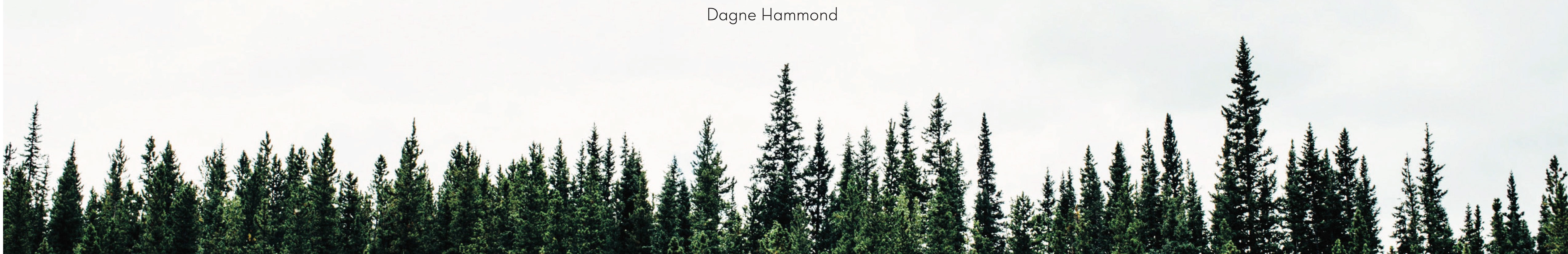 Dagne Storm Hammond's profile banner