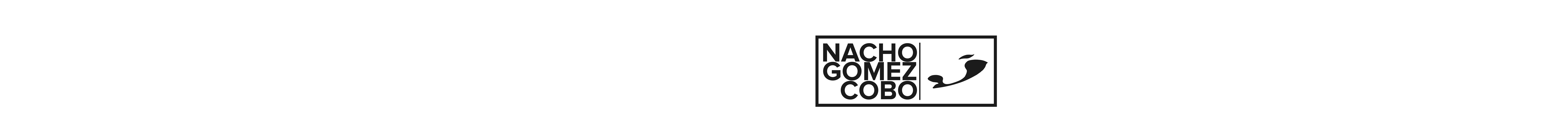Nacho Gómez Cobo's profile banner