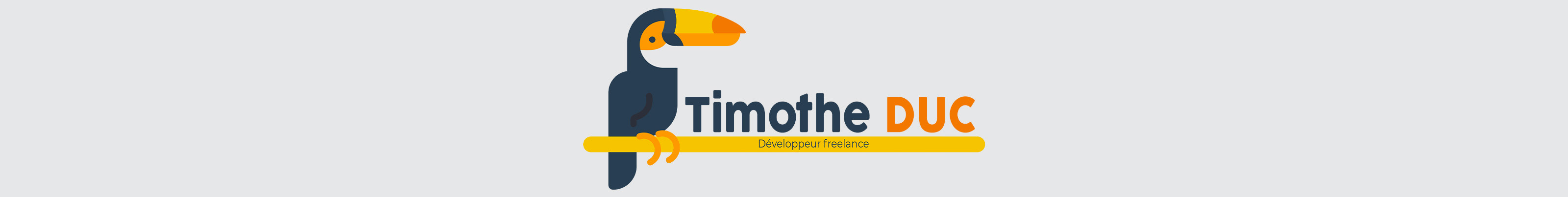 Timothé Duc's profile banner