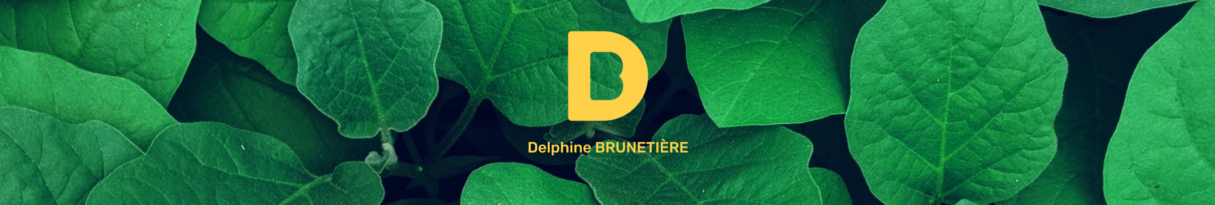 Delphine Brunetière's profile banner