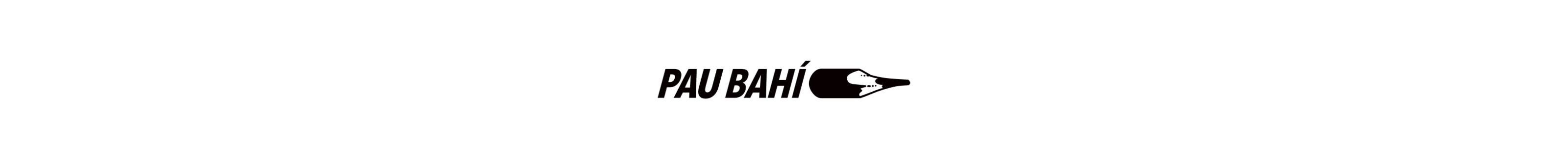 Pau Bahí Segura's profile banner