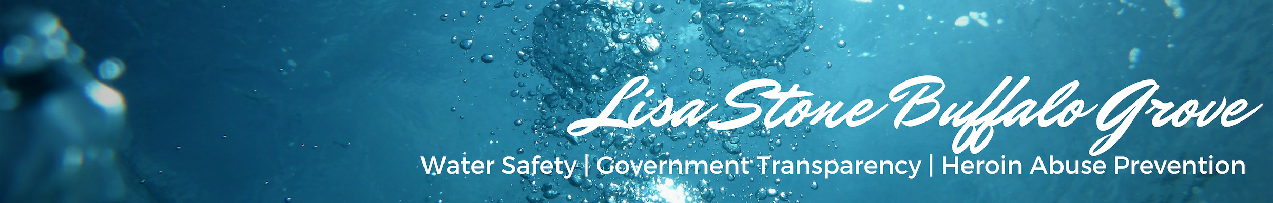 Lisa Stone's profile banner