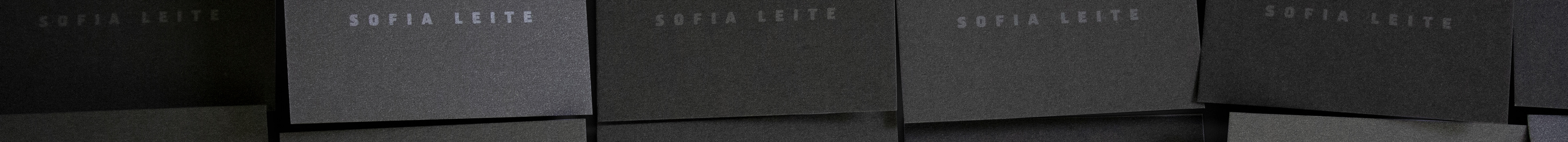 Sofia Leite's profile banner