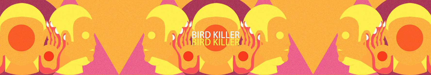 BIRD KILLER's profile banner