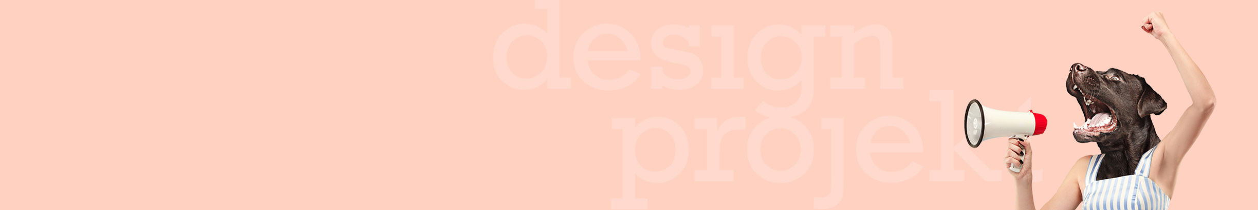 Design Projekt's profile banner