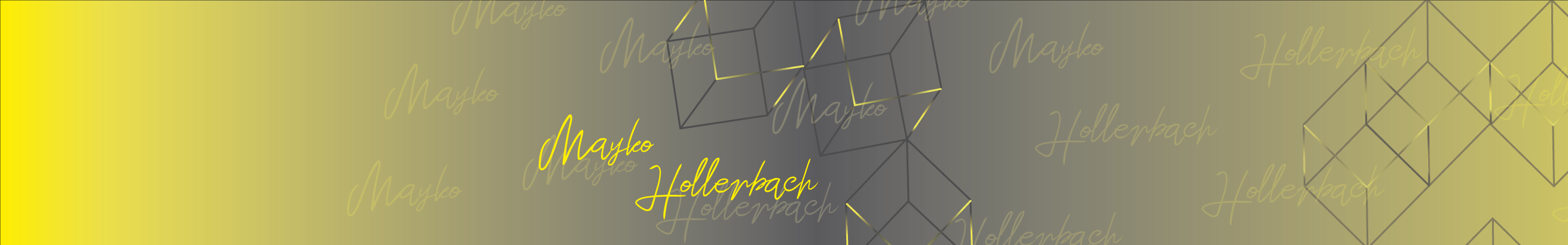 Banner del profilo di Mayko Hollerbach