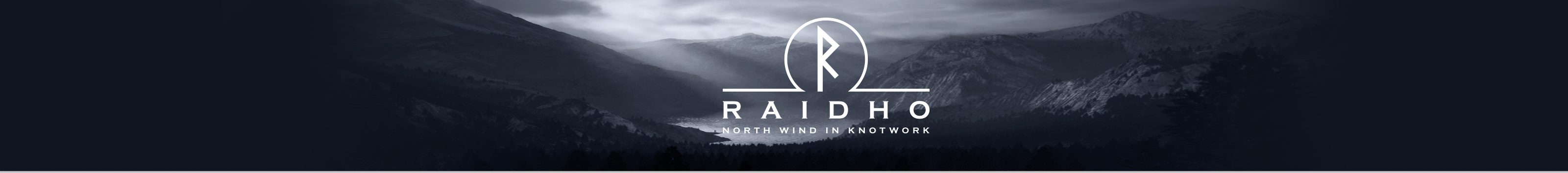 RAIDHO DMT's profile banner