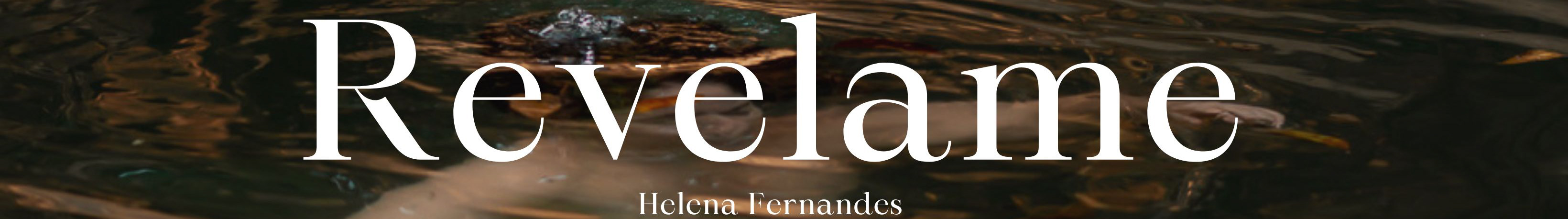 Helena Fernandes's profile banner