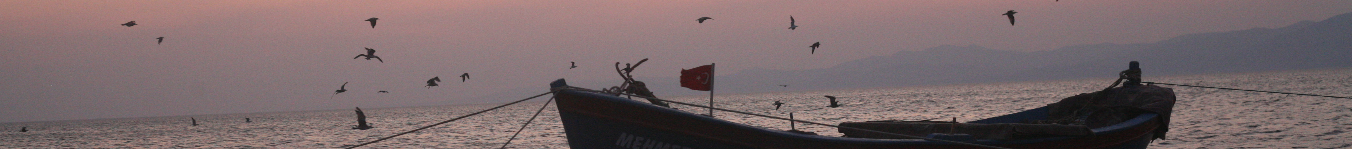 Banner de perfil de Burak Kasapoğlu