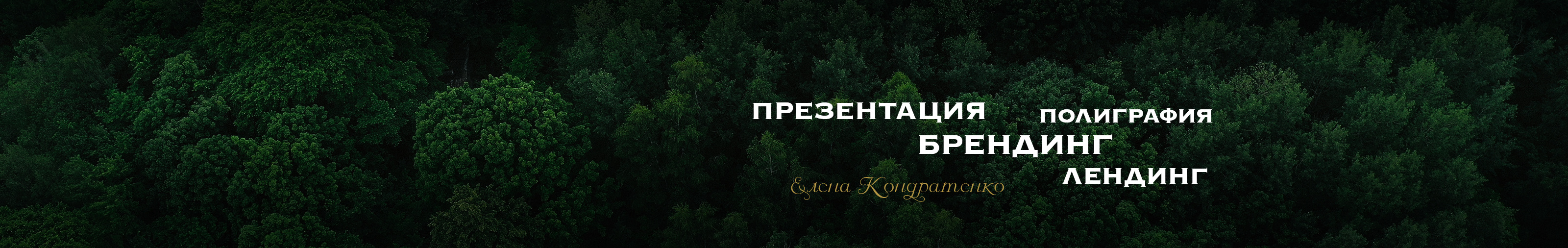Banner del profilo di Elena Kondratenko