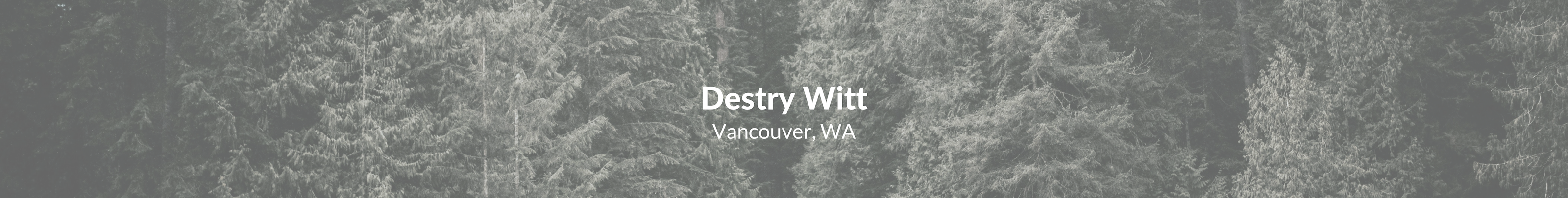 Destry Witt's profile banner