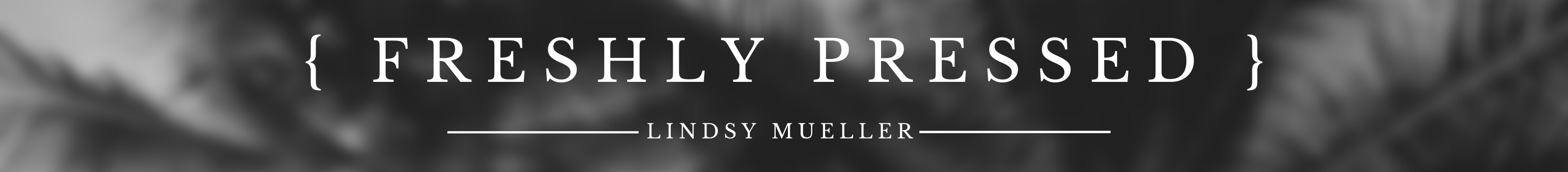 Lindsy Mueller's profile banner