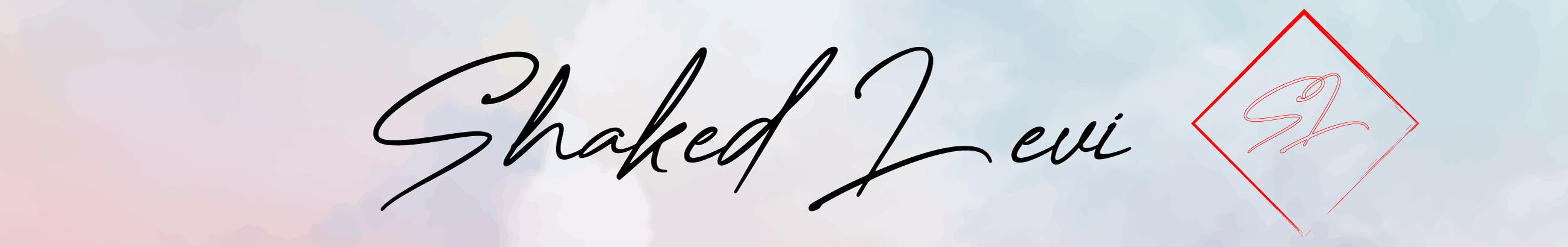 Shaked Levi's profile banner