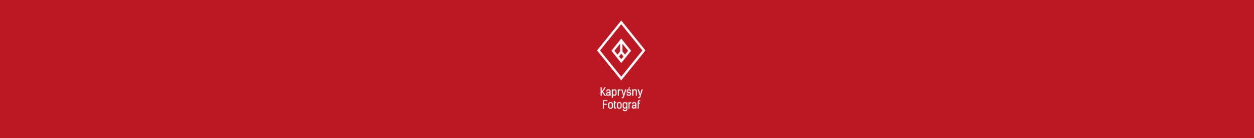 Marta Suszyńska's profile banner