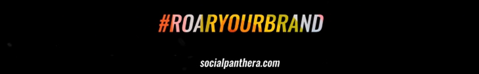 Social Panthera's profile banner