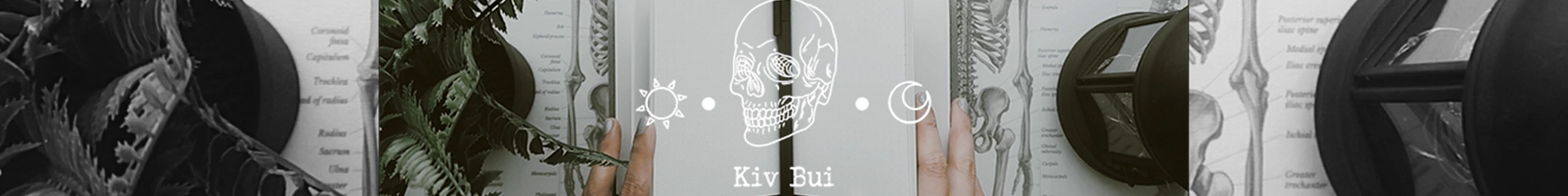 Kiv Bui's profile banner