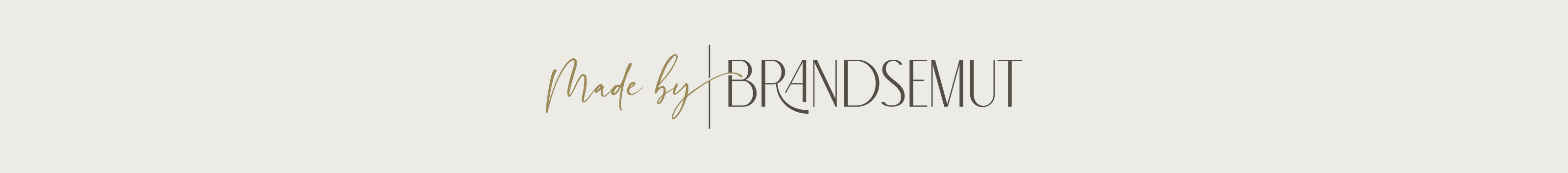 Brandsemut Studio's profile banner