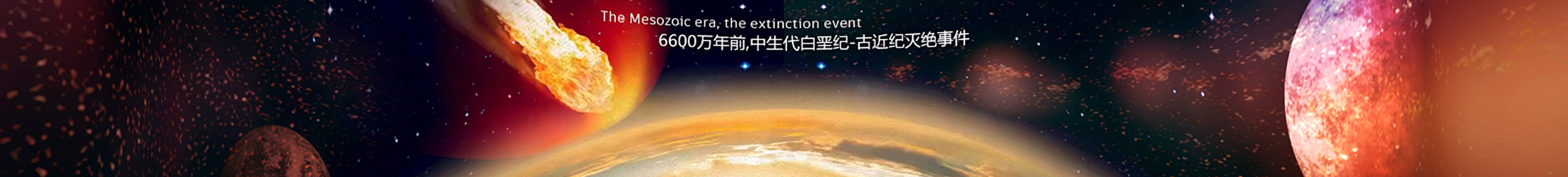 立威 李's profile banner