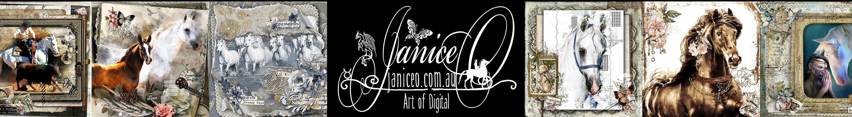 Janice O'Connor's profile banner