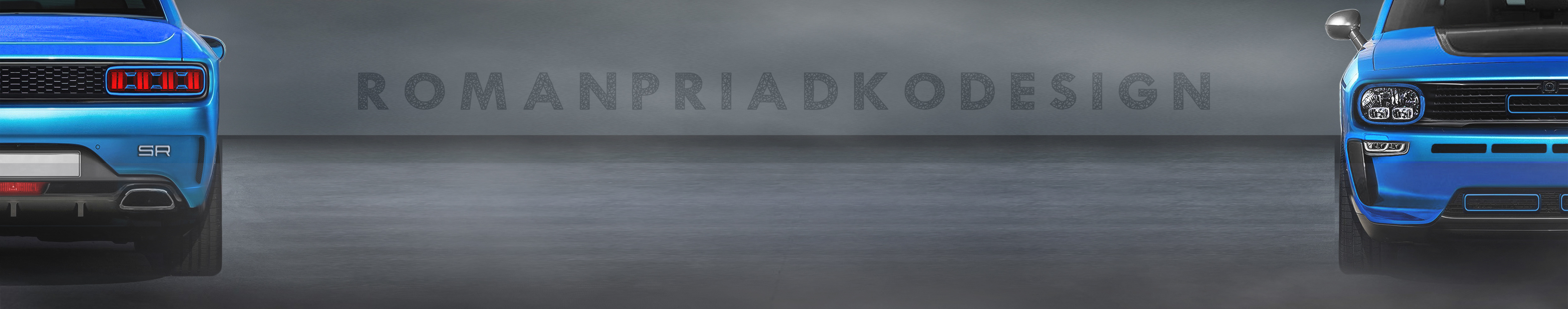 Roman Priadko's profile banner