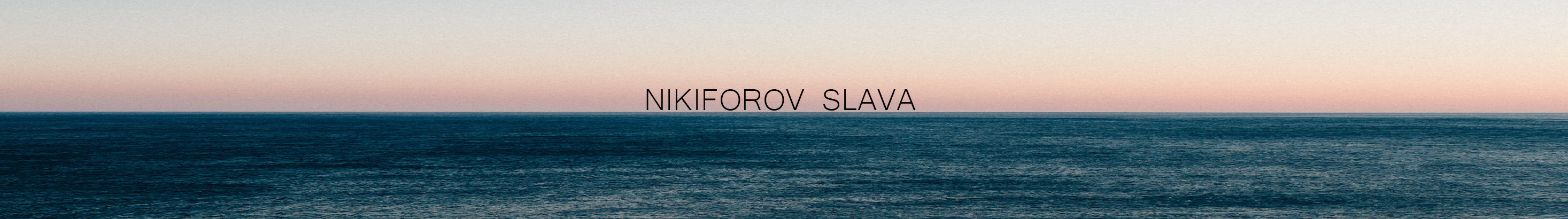 Nikiforov Slava's profile banner