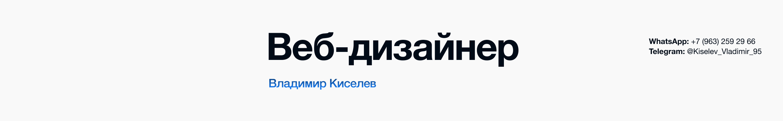 Vladimir Kiselev's profile banner
