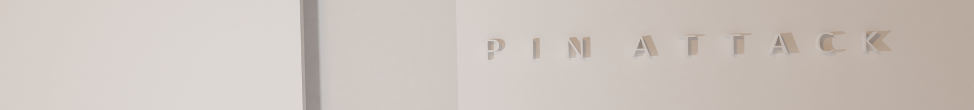 Pin Attack's profile banner