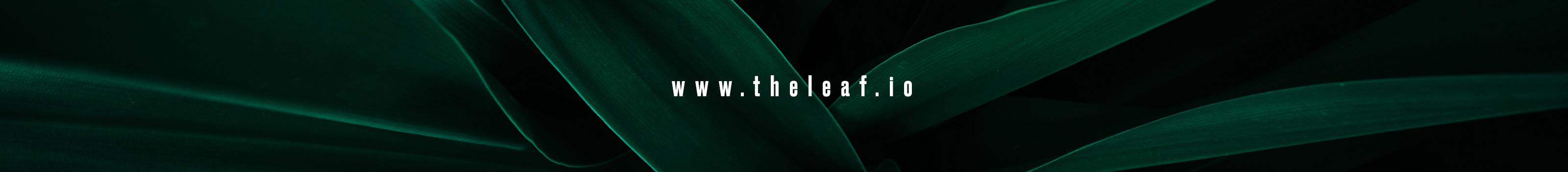 The Leaf's profile banner