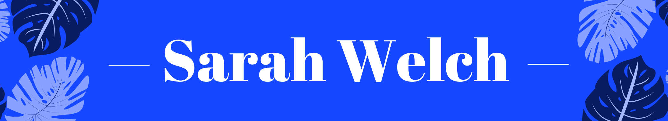 Banner profilu uživatele Sarah Welch