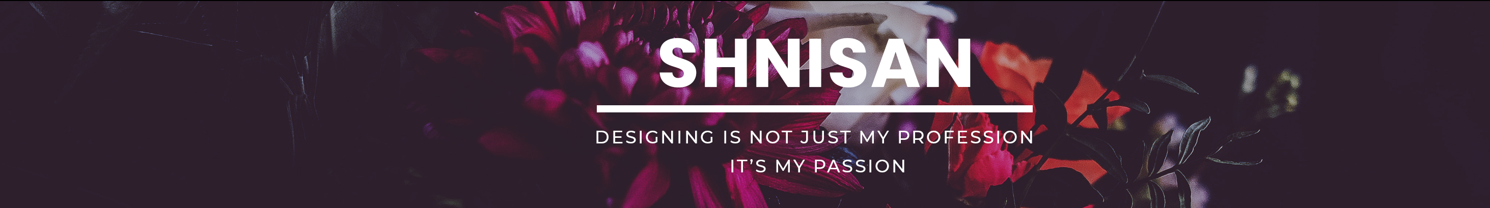 Banner del profilo di SH NISAN