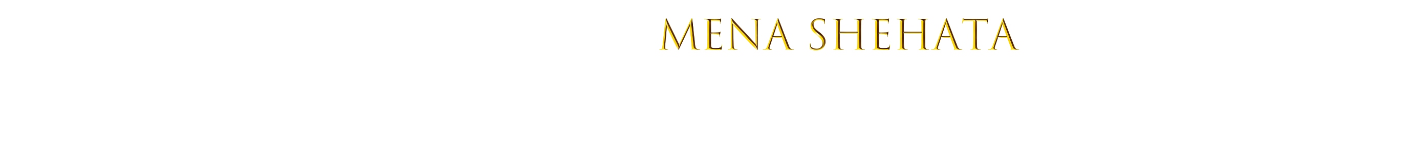 Mena Shehata's profile banner