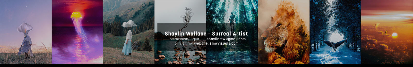 Shaylin Wallace's profile banner