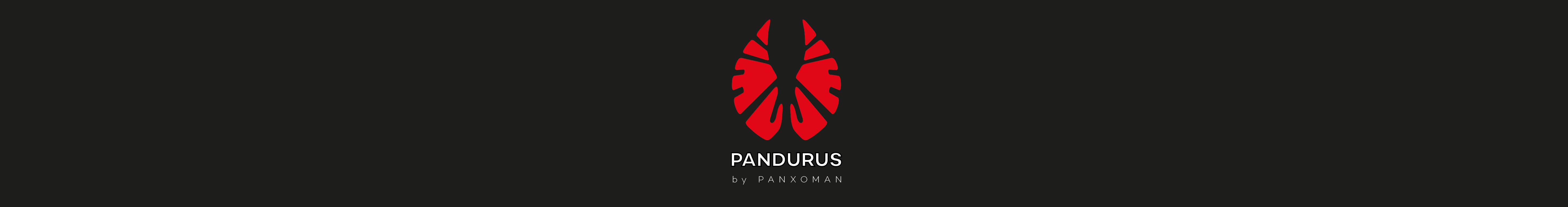 Banner profilu uživatele Pandurus Design