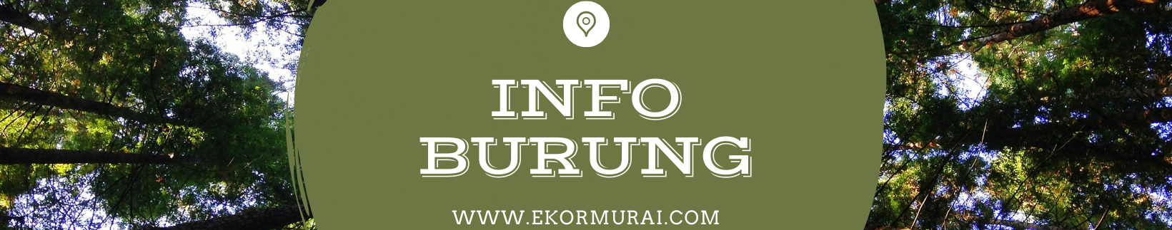 Profil-Banner von Ekor Murai