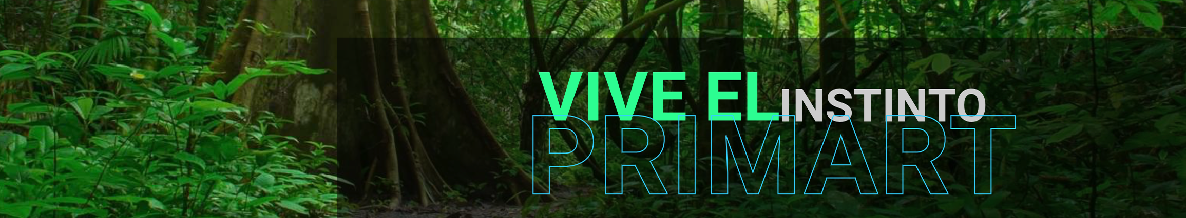 Primart Studios's profile banner