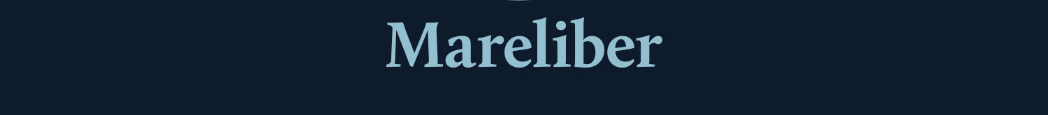 Mareliber Film's profile banner