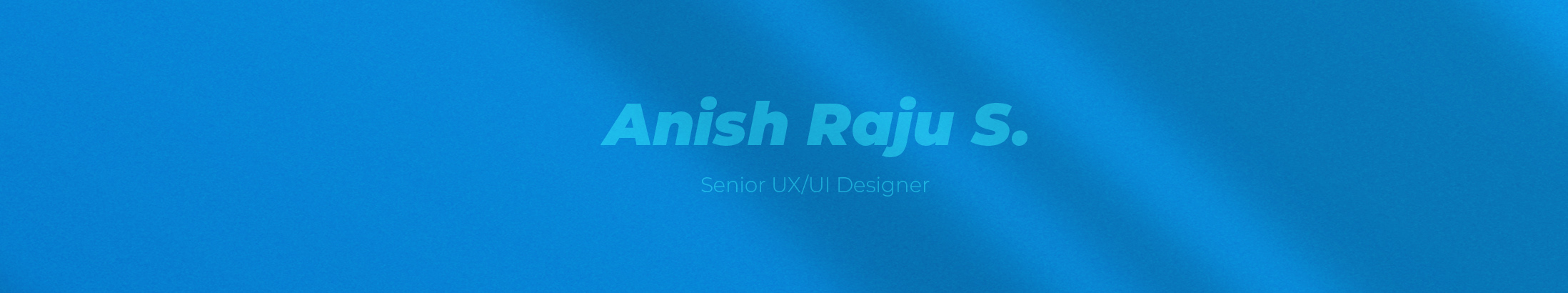 Anish Raju S's profile banner
